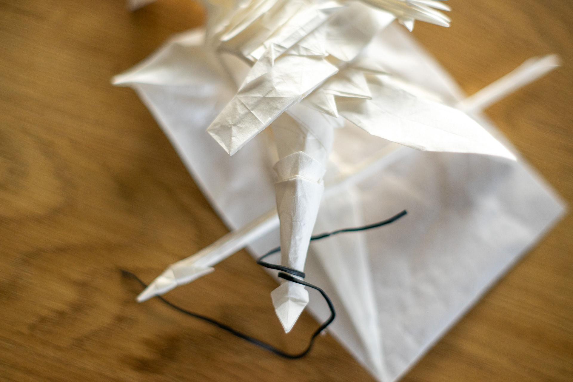 Project Spotlight: Really Big Origami Paper – Roylco